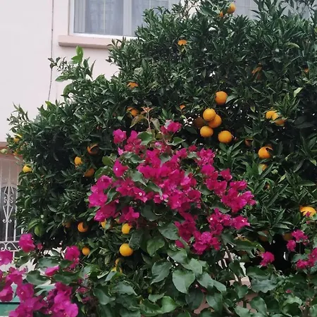 Confortable,gare,climatisation,parking,wifi,pt Dejeuner Compris 民宿