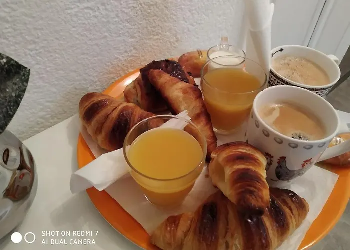 Confortable,gare,climatisation,parking,wifi,pt Dejeuner Compris 佩皮尼昂