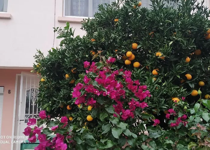 Confortable,gare,climatisation,parking,wifi,pt Dejeuner Compris 民宿