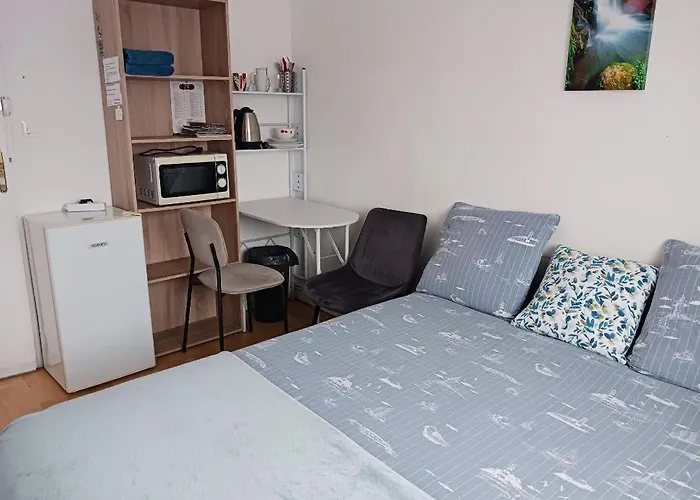 Проживание в семье Confortable,gare,climatisation,parking,wifi,pt Dejeuner Compris